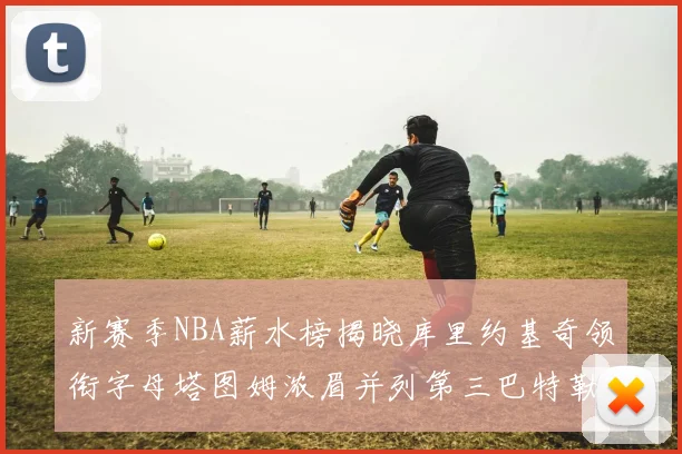 新赛季NBA薪水榜揭晓库里约基奇领衔字母塔图姆浓眉并列第三巴特勒排名第十
