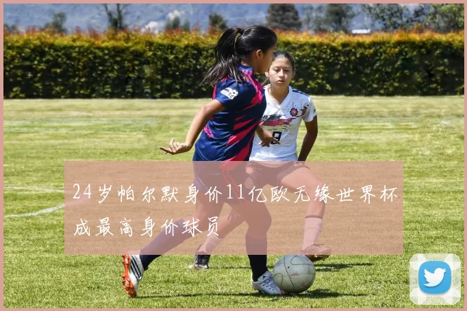 24岁帕尔默身价11亿欧无缘世界杯成最高身价球员